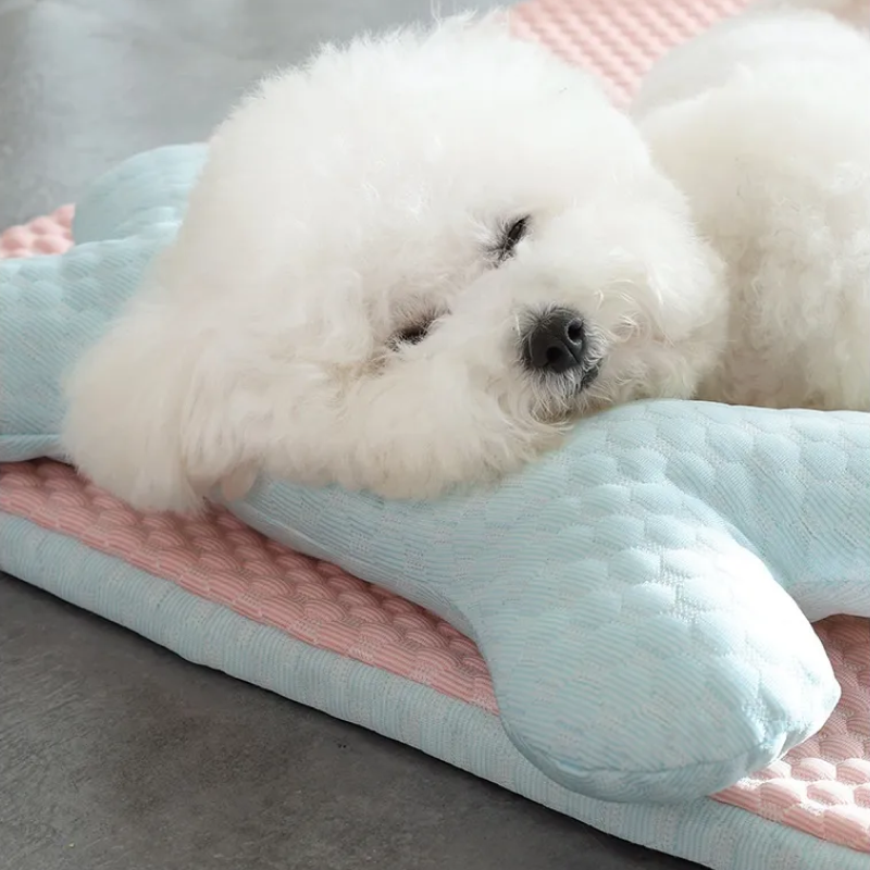 Bone Cushion Cooling Bed