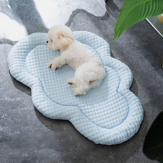 Cloud Cooling Bed