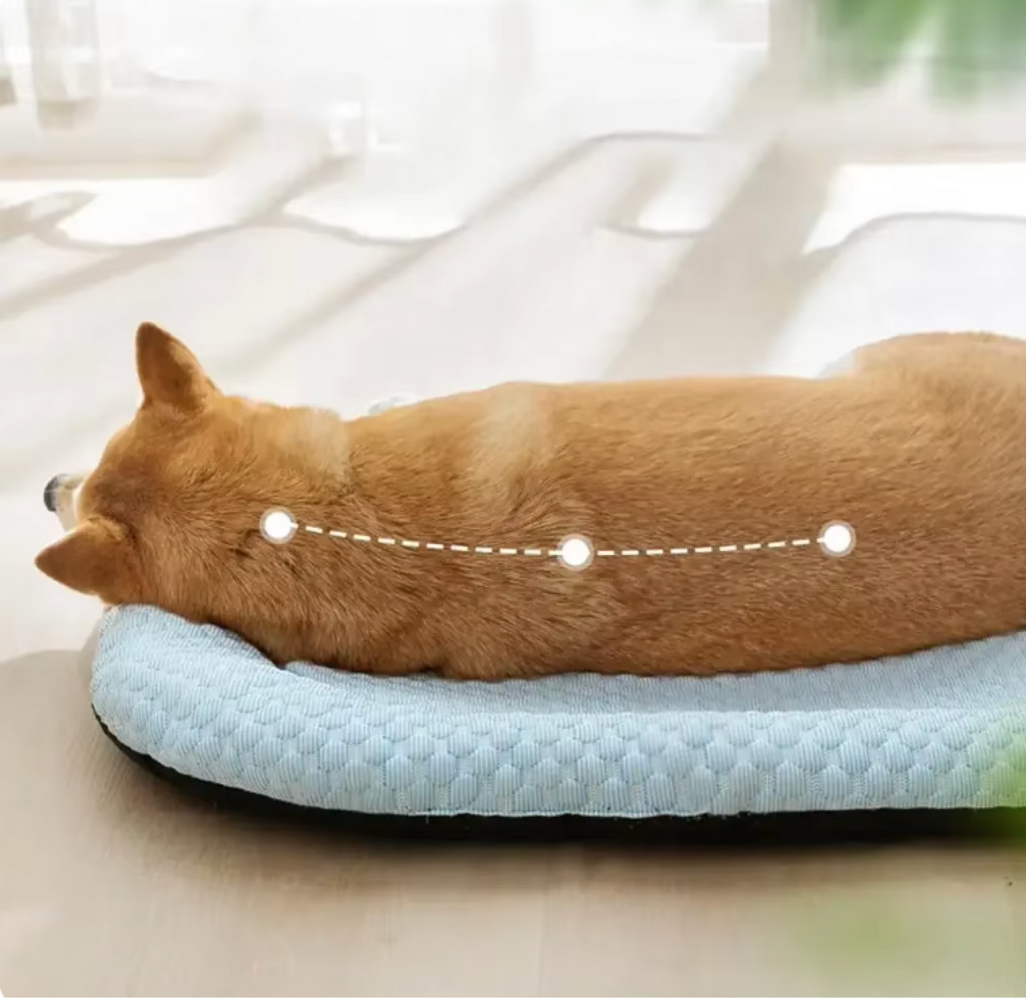 Classic Cooling Bed